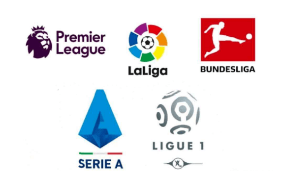 了命中率 了命中率